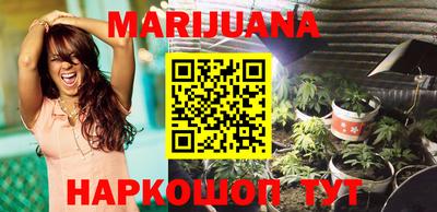 прущие грибы Абакан