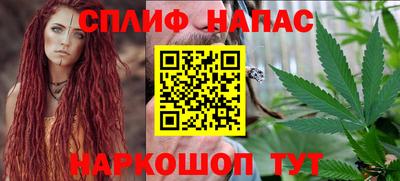 прущие грибы Абакан