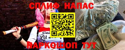 прущие грибы Абакан