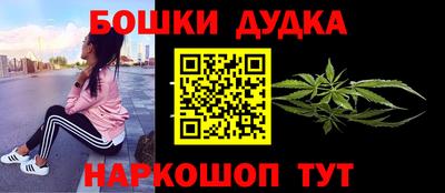 прущие грибы Абакан